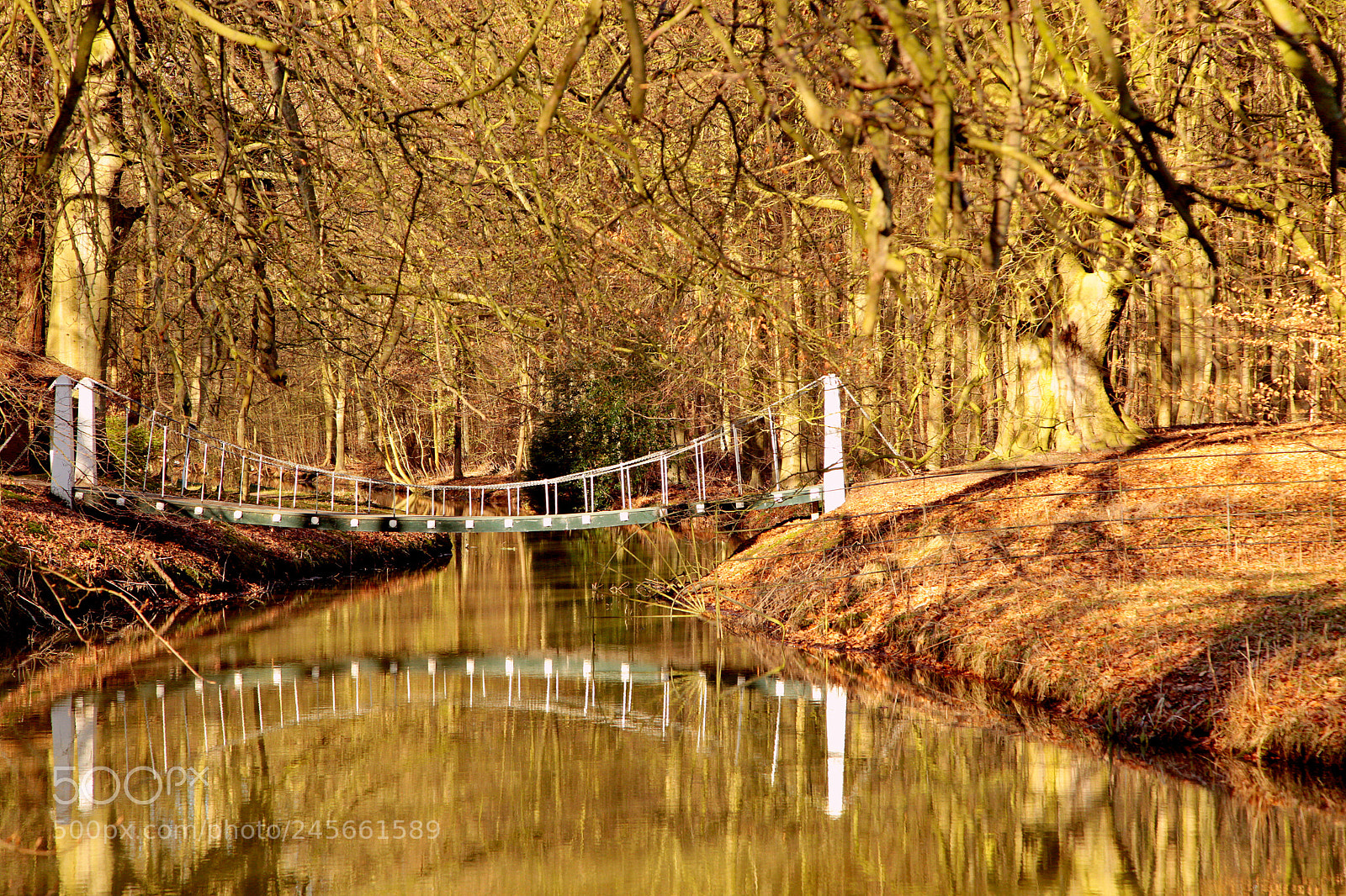 Canon EF 24-105mm F4L IS USM sample photo. Bridge in an old photography