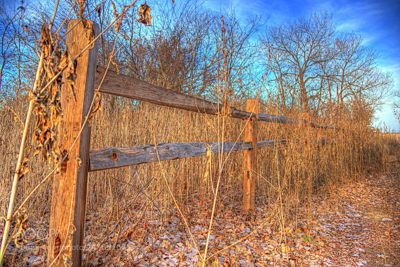 Canon EOS M5 sample photo. Defense photography