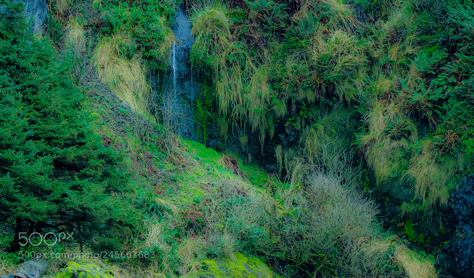 Fujifilm X-T2 sample photo. Hillside tears photography