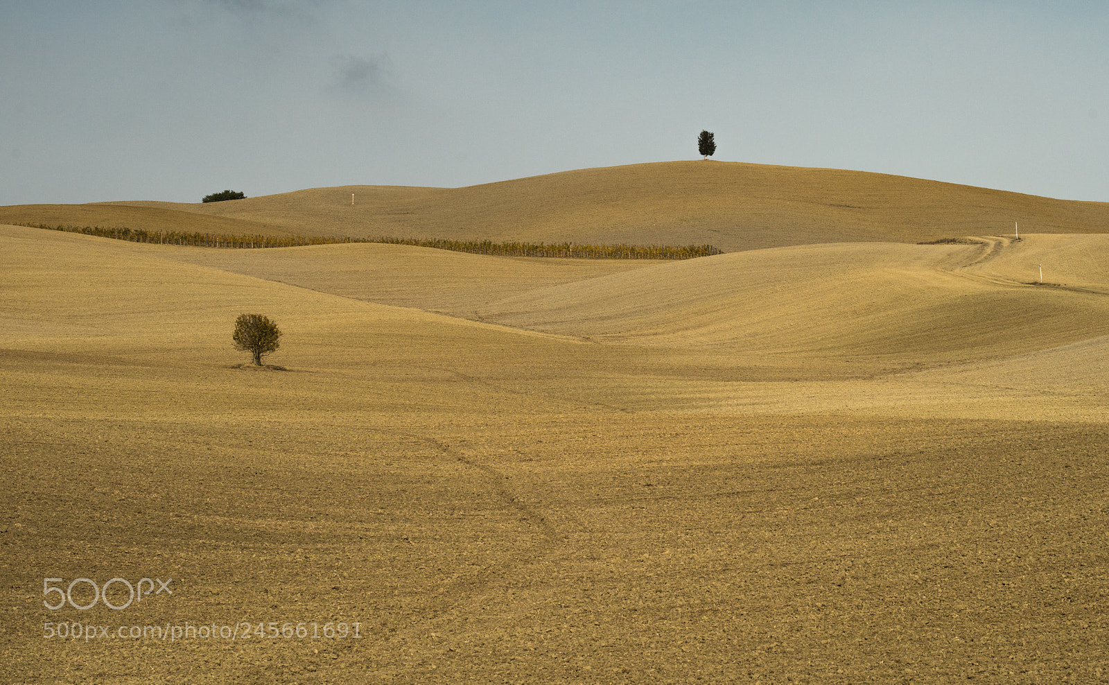 Nikon D810 sample photo. Val d'orcia photography