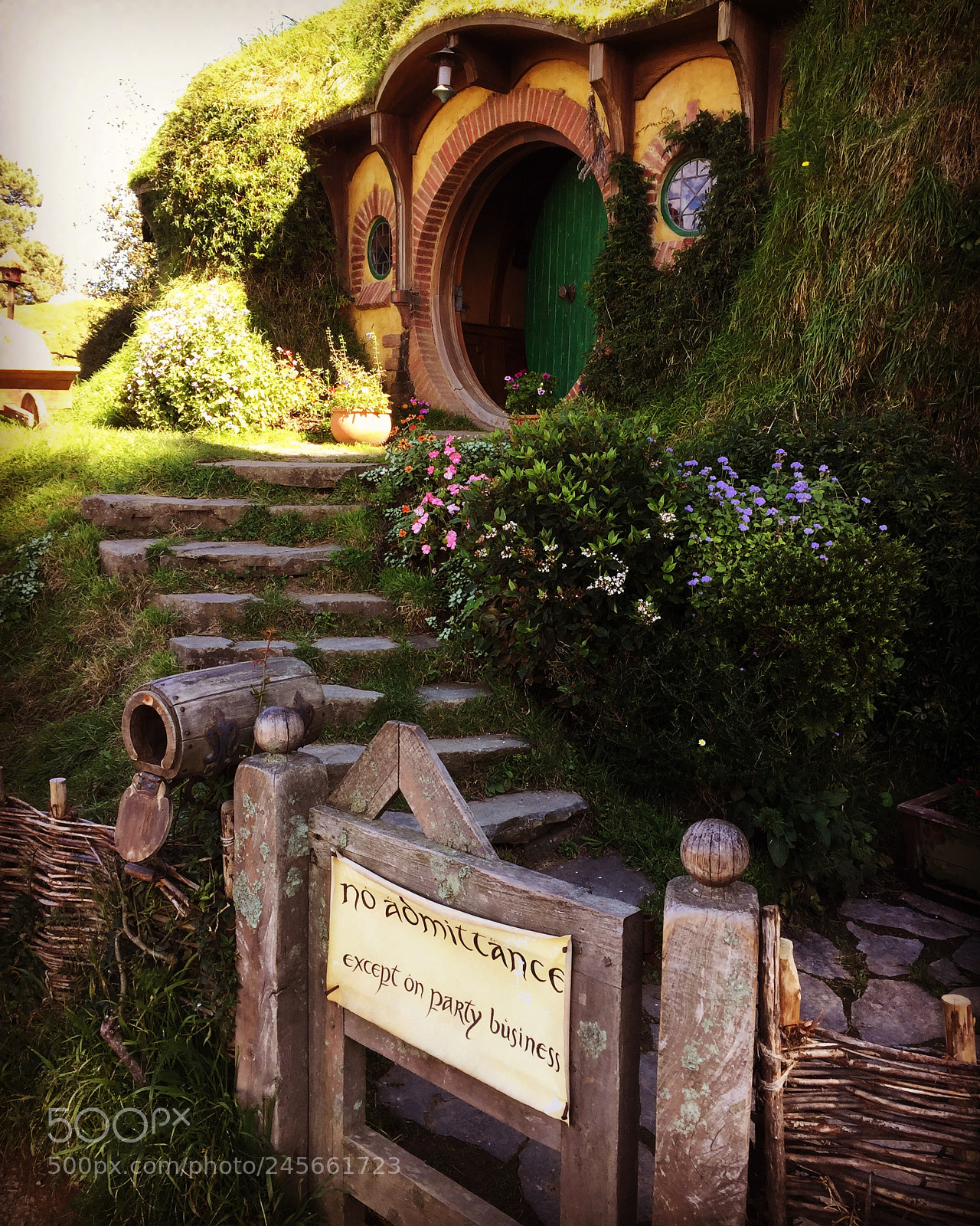 Apple iPhone 6 sample photo. The home of frodo photography