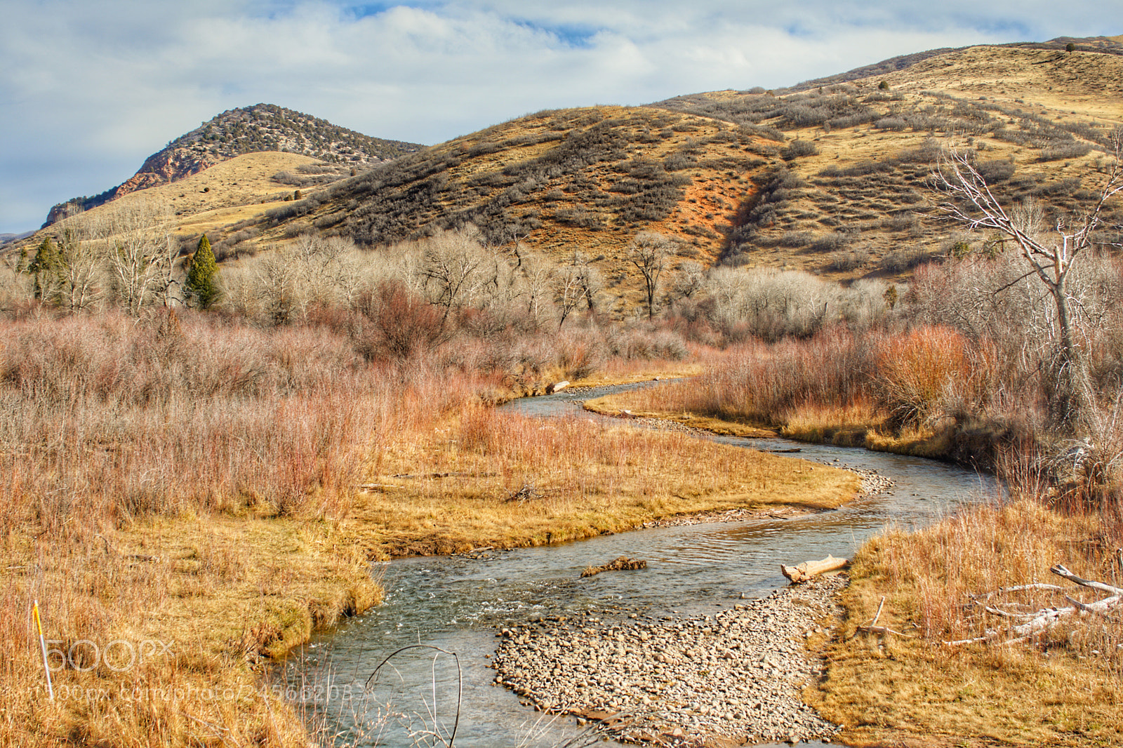 Nikon D7200 sample photo. Lazy creek photography