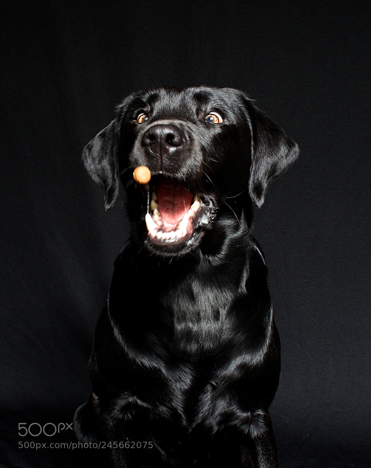 Nikon D600 sample photo. And hepp.... yessss photography