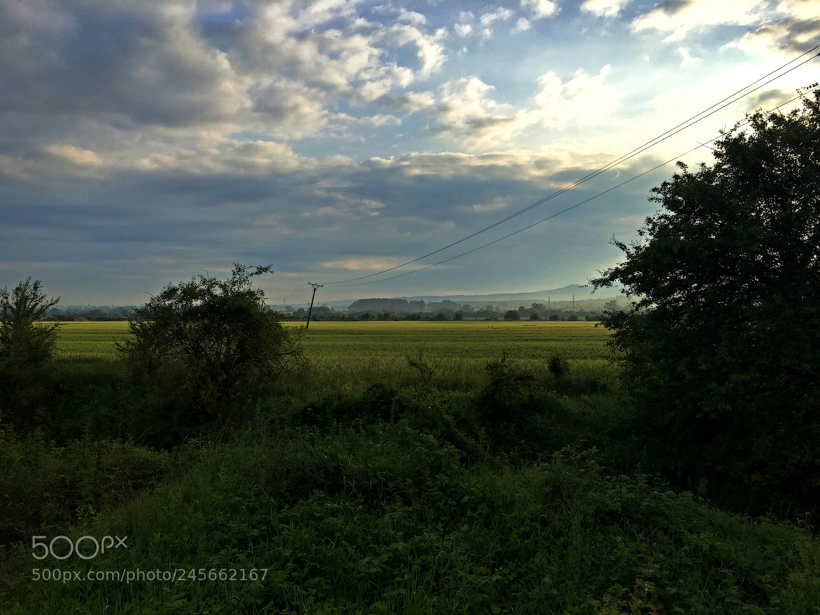 Apple iPhone 6s sample photo. Field before storm photography