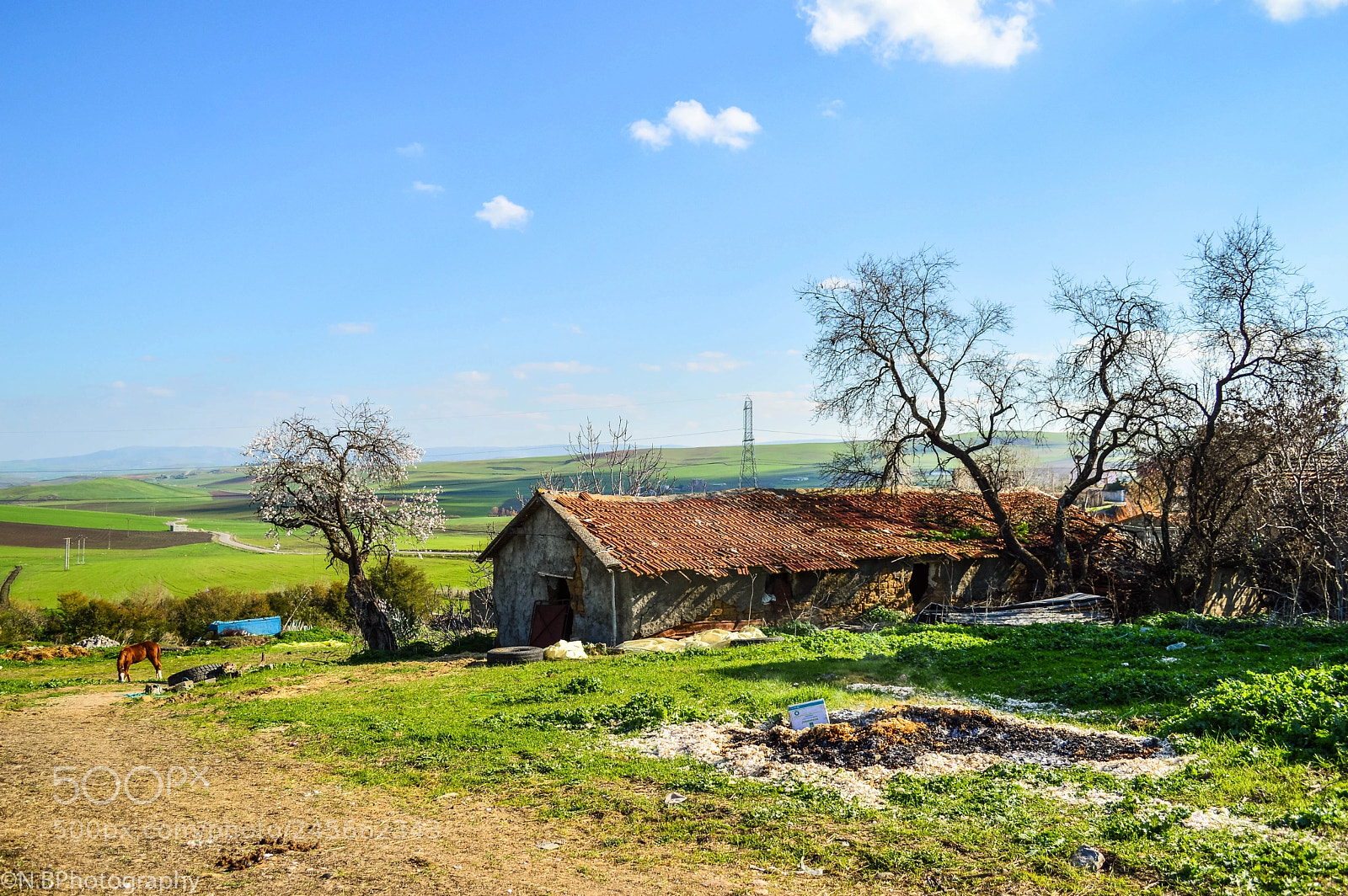 Nikon D3200 sample photo. Somewhere in algeria photography