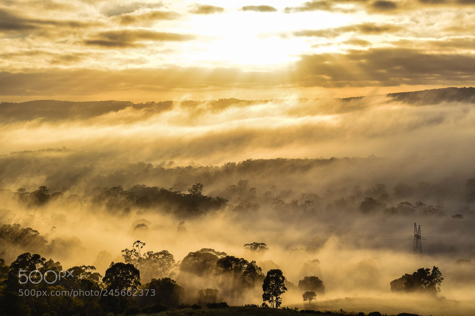 Nikon D5500 sample photo. Early morning photography