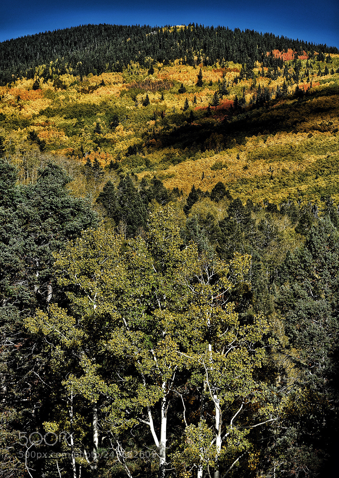 Nikon D810 sample photo. Highlands photography