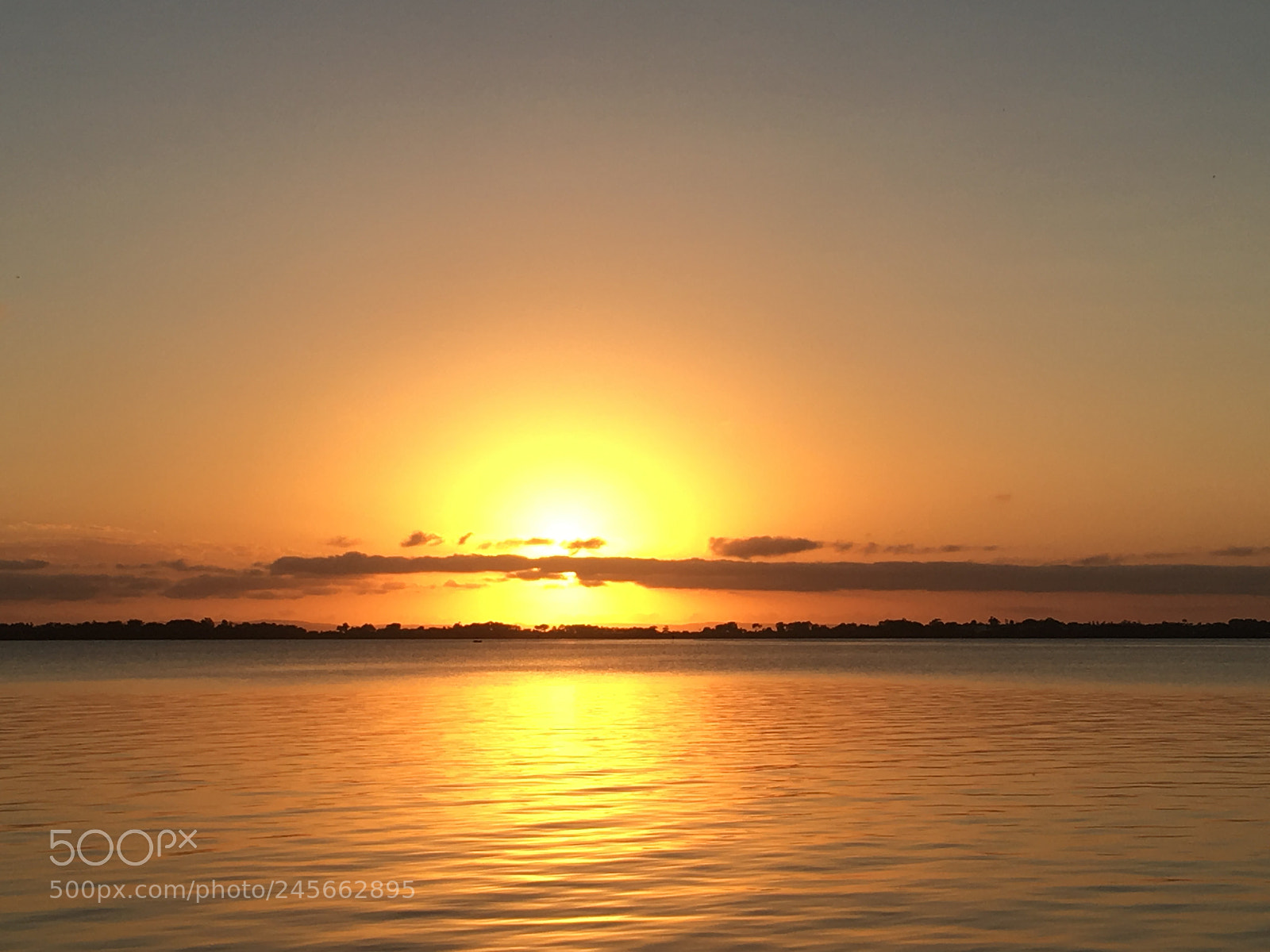 Apple iPhone 6s sample photo. Sunrise lota australia. photography