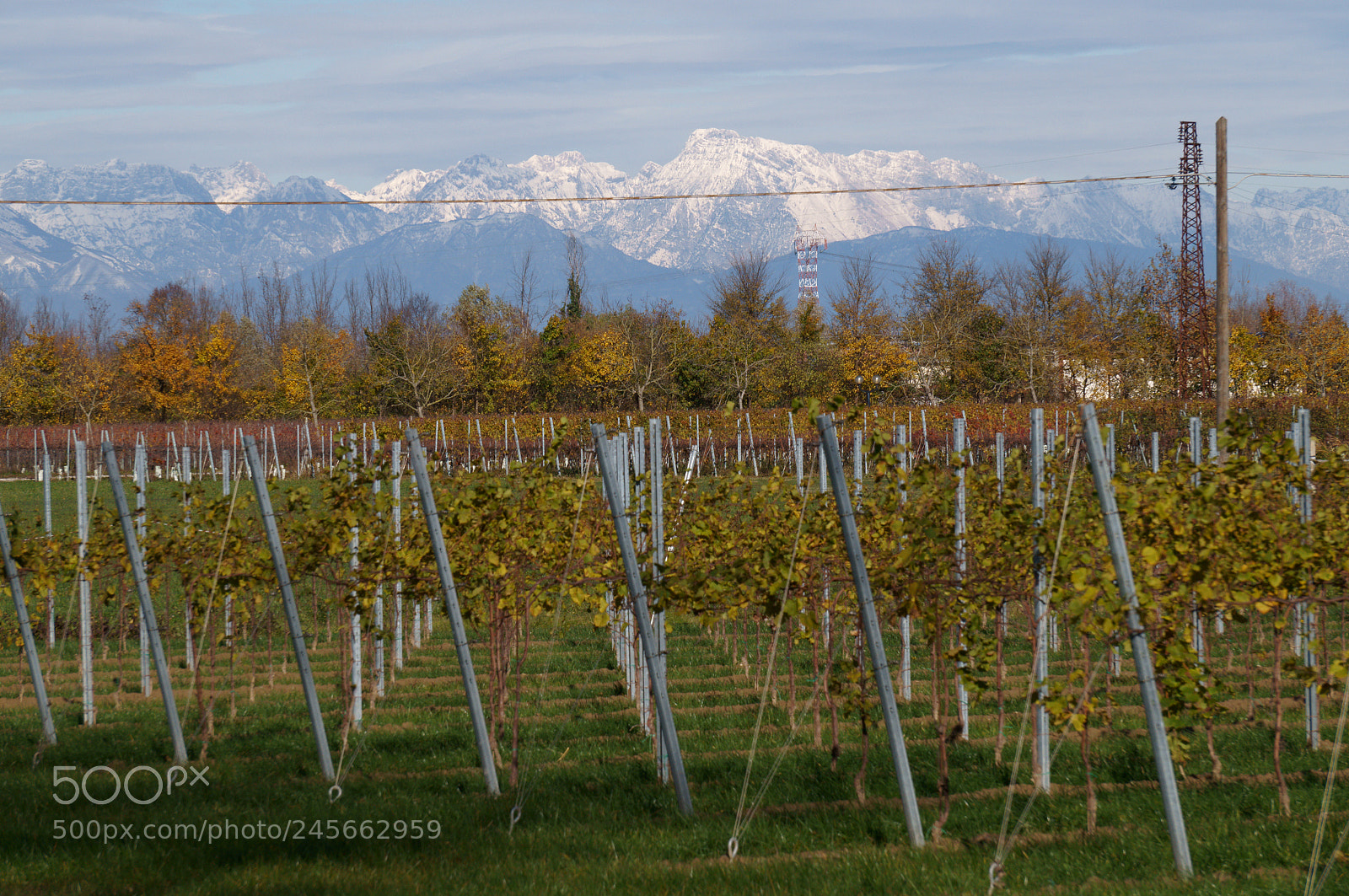Sony Alpha NEX-F3 sample photo. Lines with a view photography