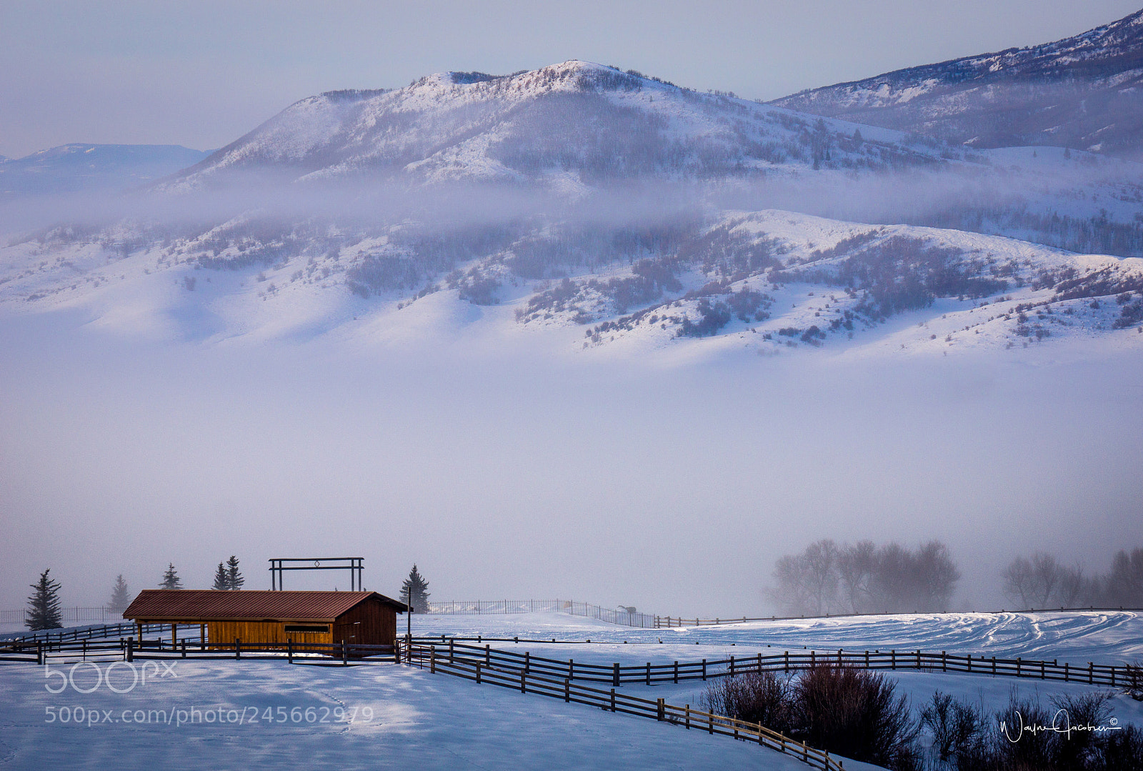 Sony Alpha NEX-7 sample photo. Foggy morning photography