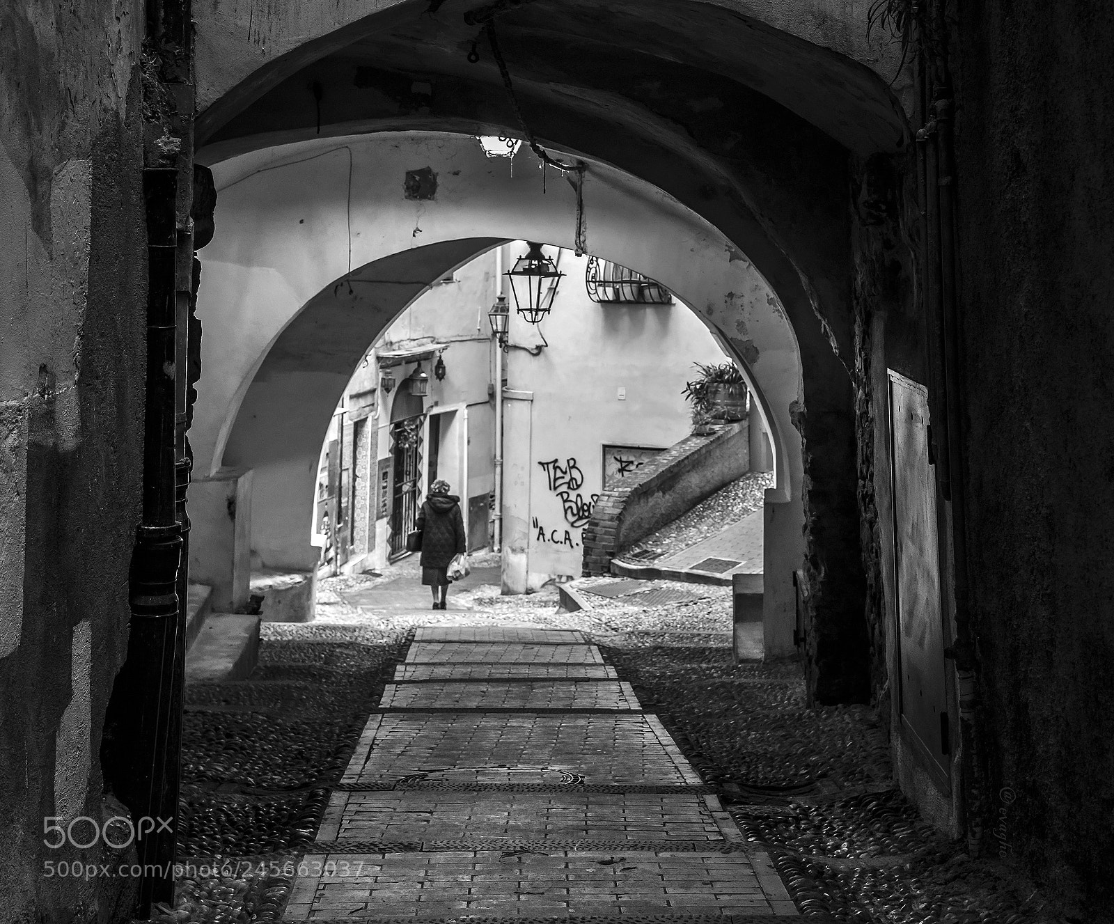 Nikon D610 sample photo. Pigna sanremo photography