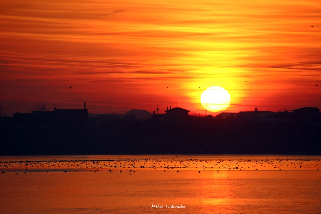 Sigma 18-250mm F3.5-6.3 DC OS HSM sample photo. Ordanary sunset photography