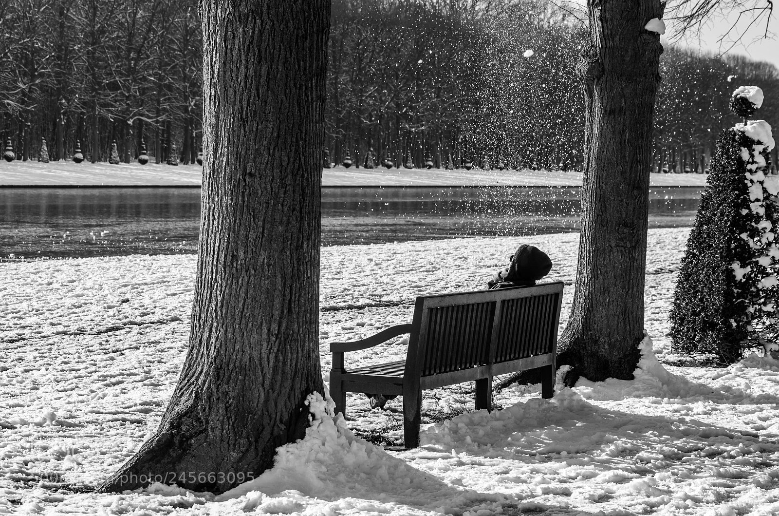 Pentax K-30 sample photo. Unexpected photography