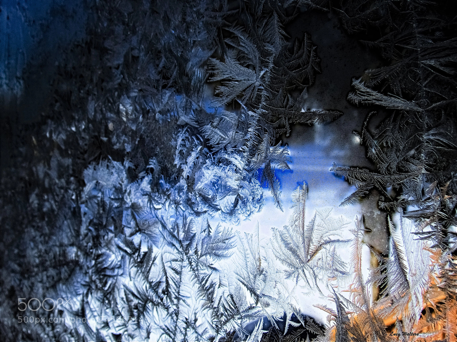 Canon PowerShot SX530 HS sample photo. Frosty photography