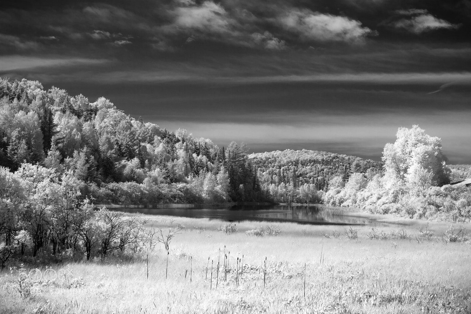 Canon EOS 400D (EOS Digital Rebel XTi / EOS Kiss Digital X) sample photo. Rood pond infrared photography