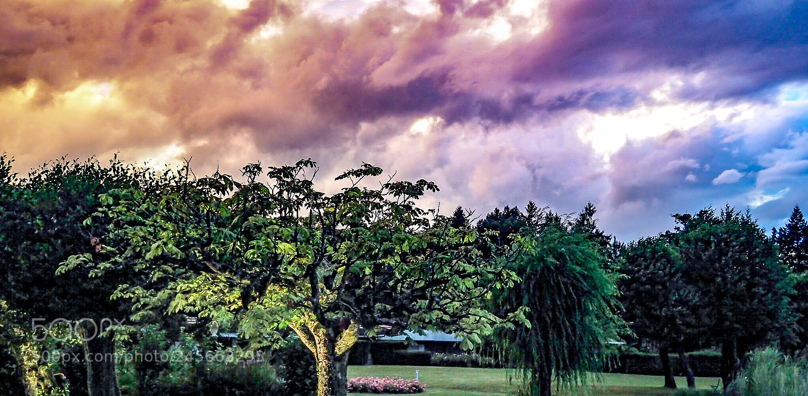 Olympus PEN-F sample photo. Orage de fin de photography