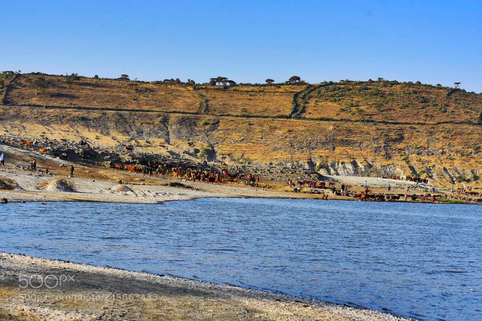 Nikon D7200 sample photo. Lake chitu photography