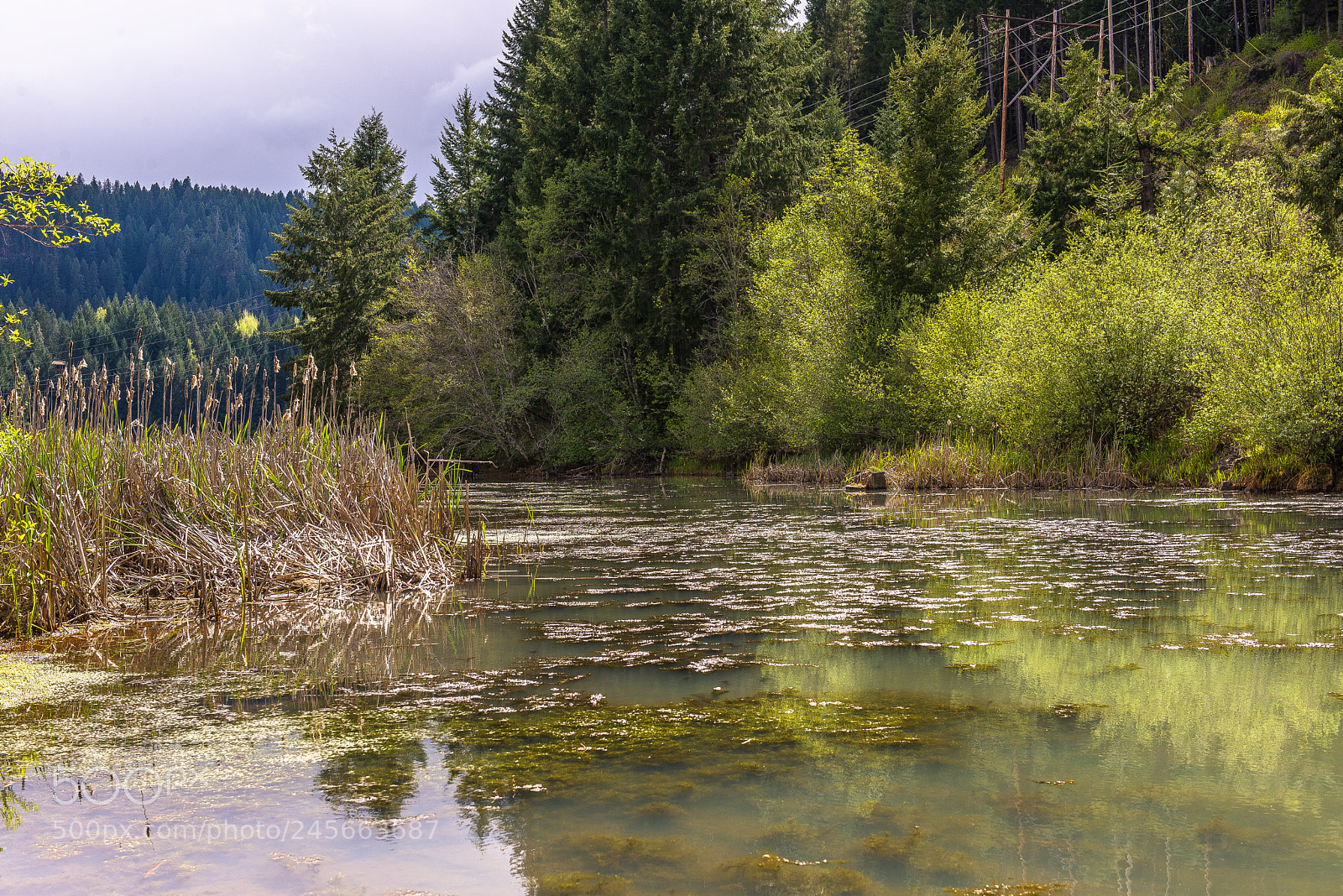 Nikon D600 sample photo. Still waters photography