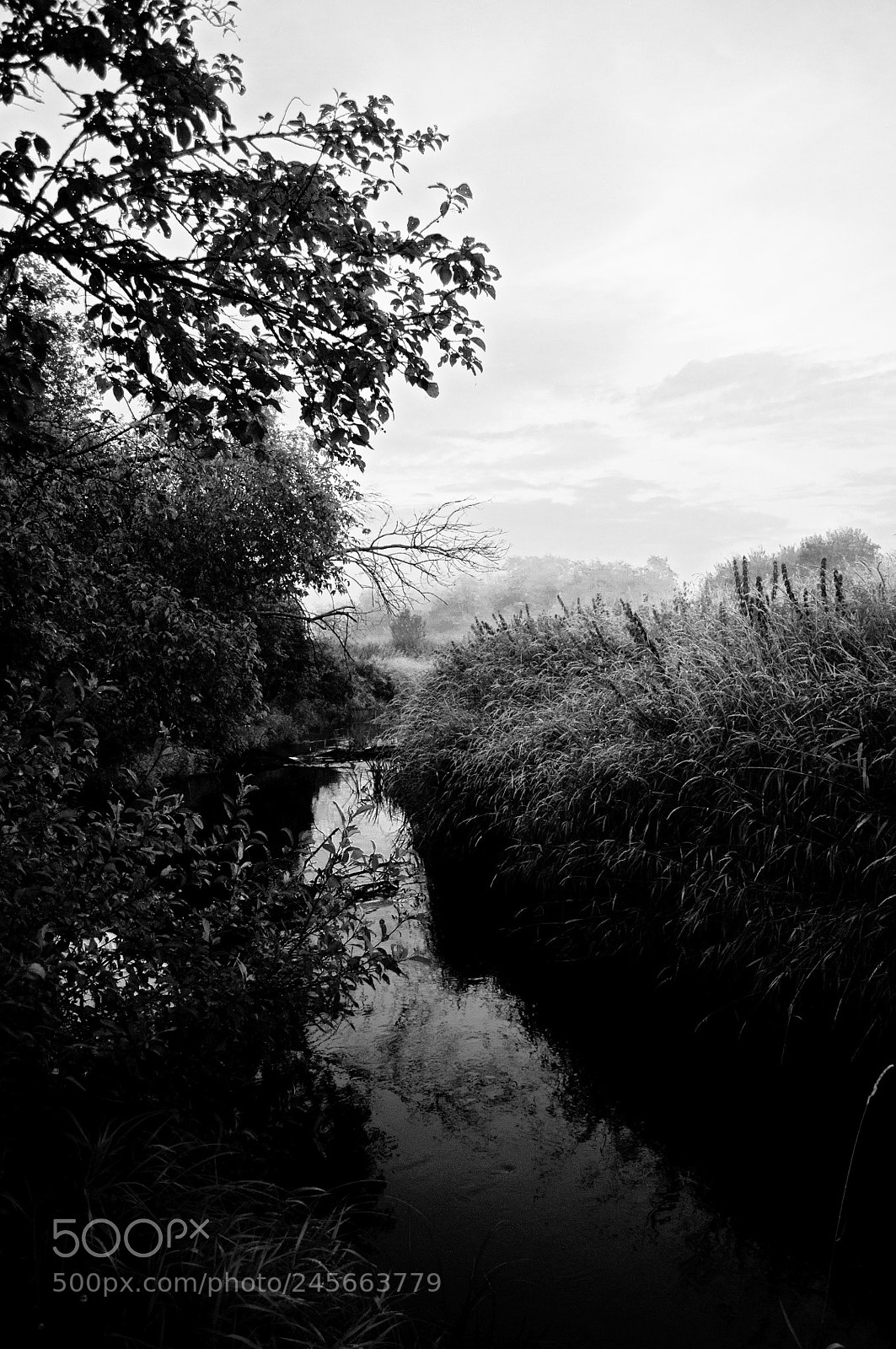 Nikon D300S sample photo. Landscape.  river photography