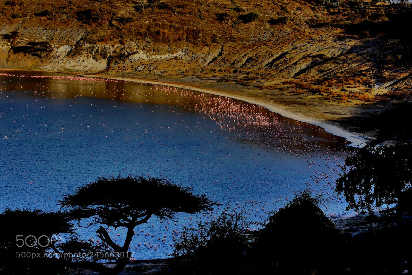 Nikon D7200 sample photo. Nature photography