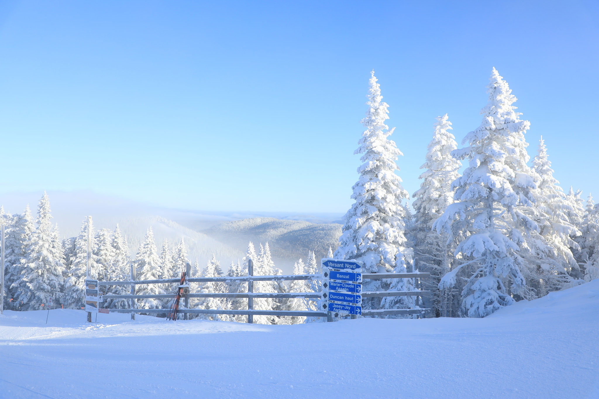 Canon EF 24-105mm F4L IS II USM sample photo. Winter wonderland photography