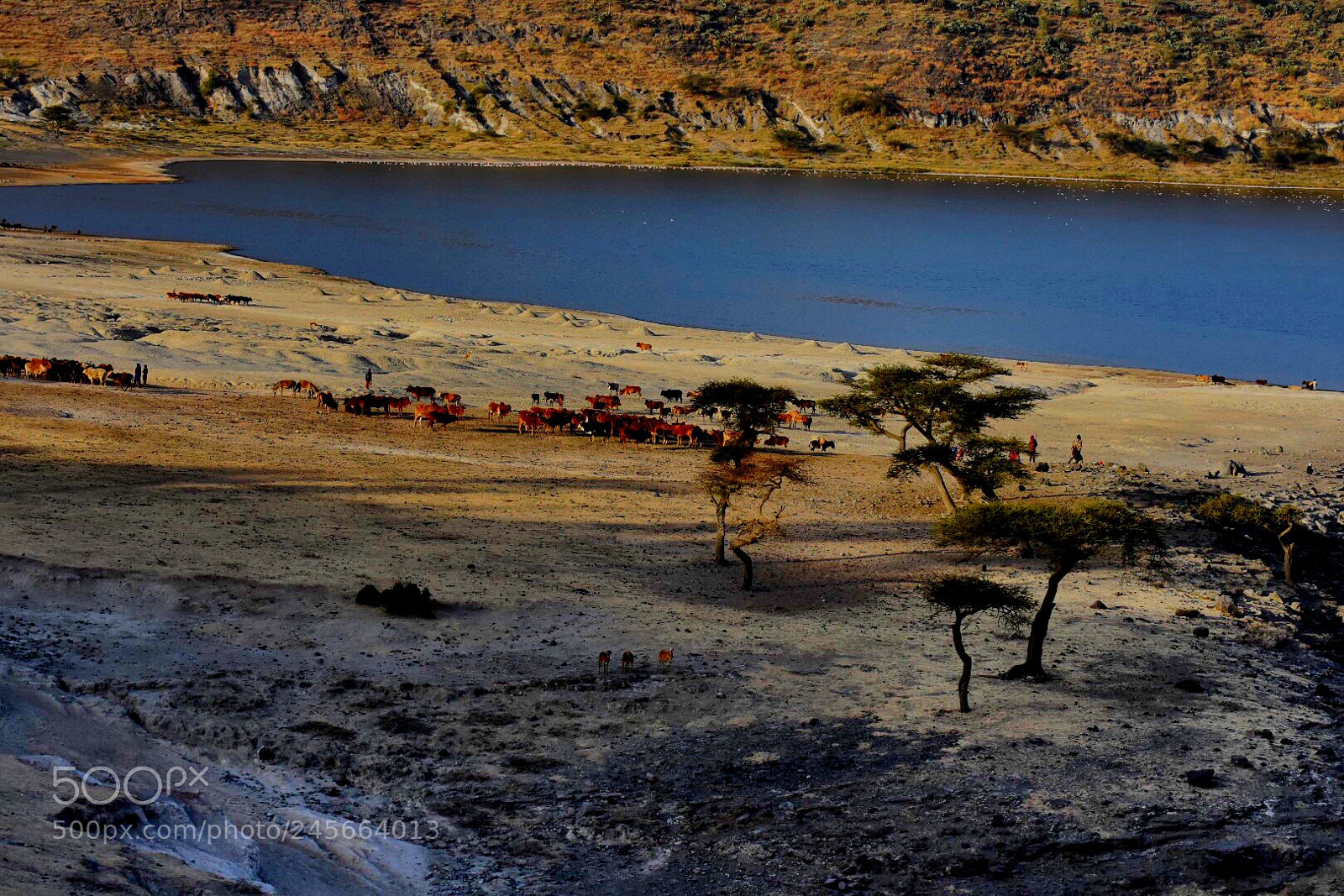Nikon D7200 sample photo. Lake chitu photography