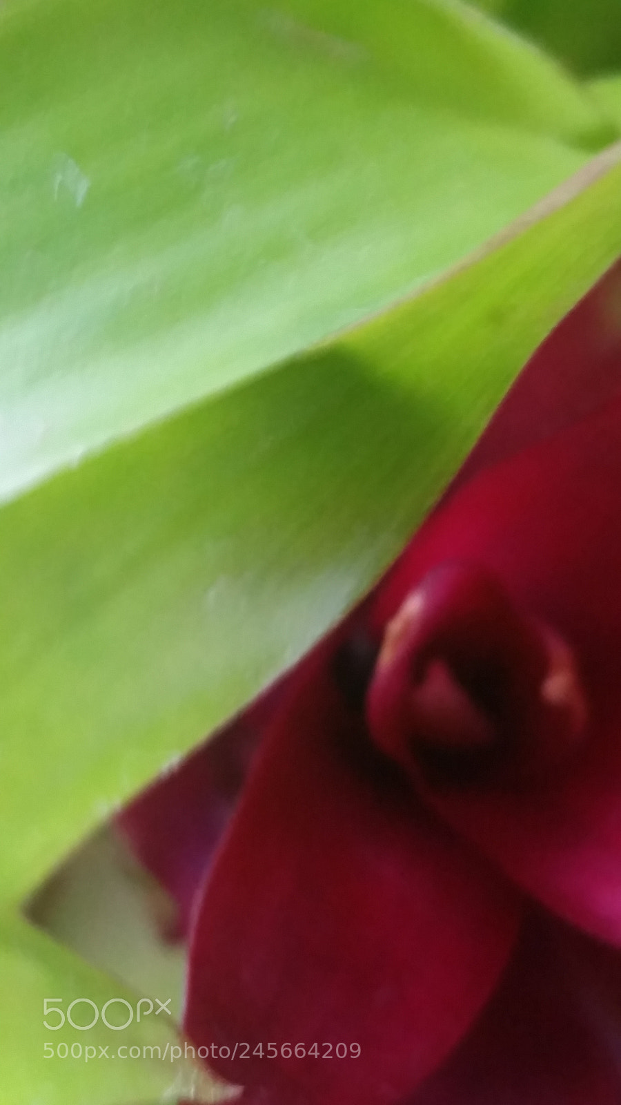 Samsung Galaxy S5 sample photo. Untitled photography