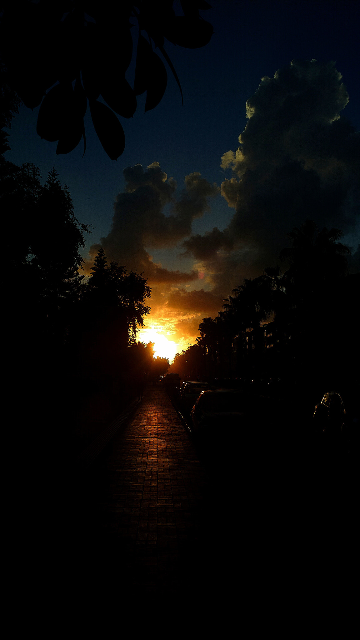 Nokia 808 PureView sample photo. Sunset, sungate photography