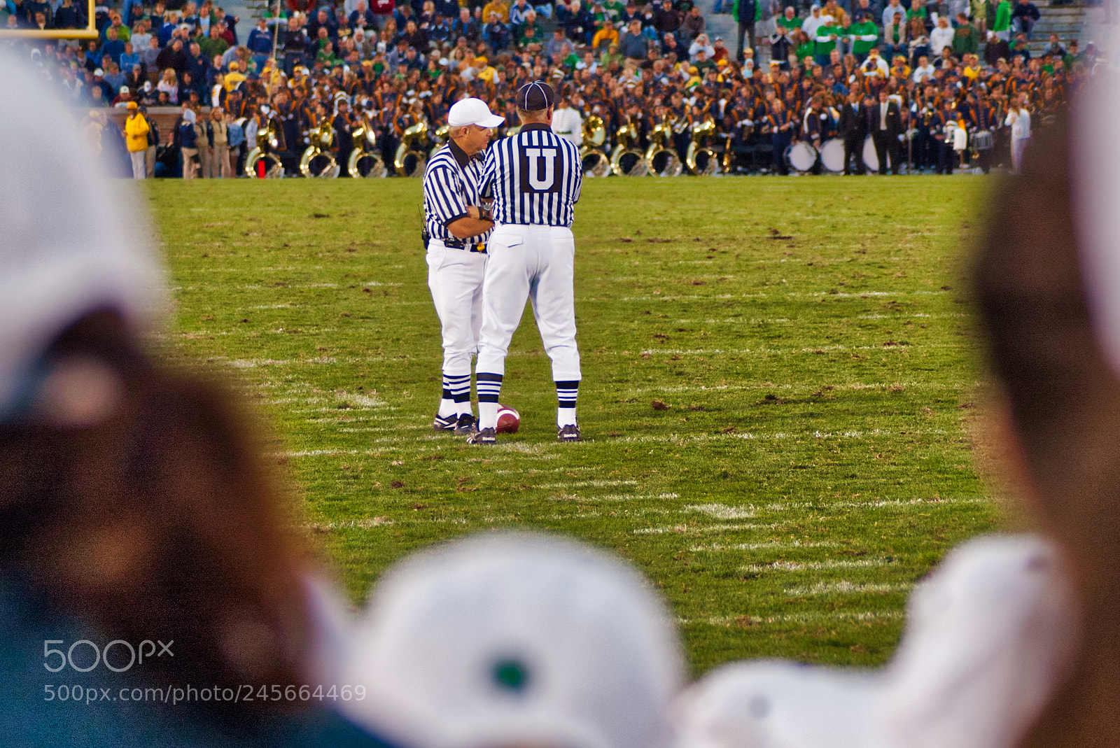 Nikon D70 sample photo. Umpire photography