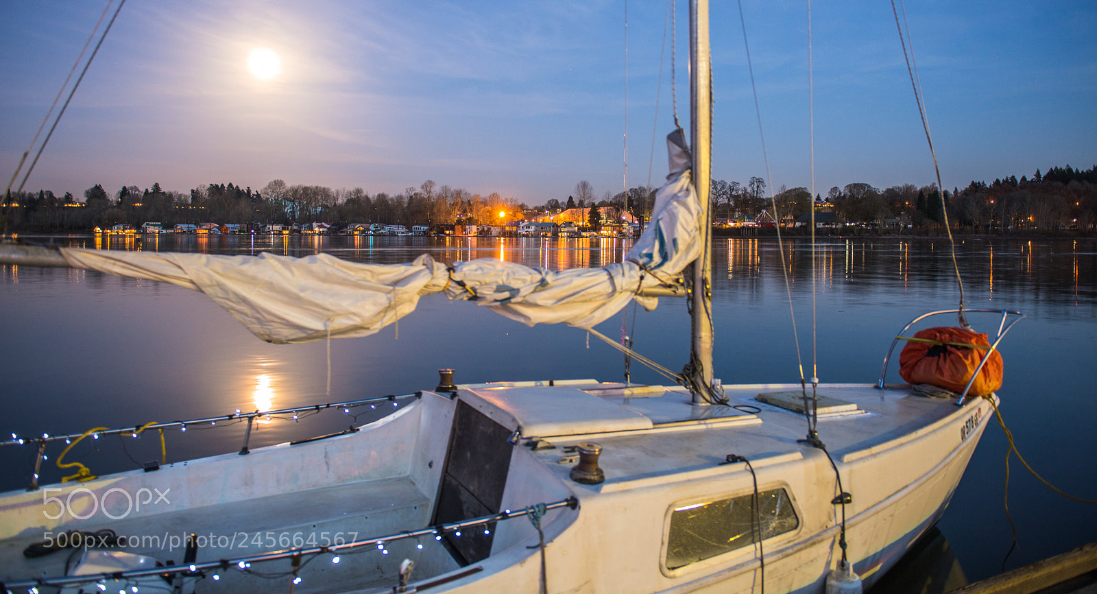 Nikon D600 sample photo. Moonlit solitude photography