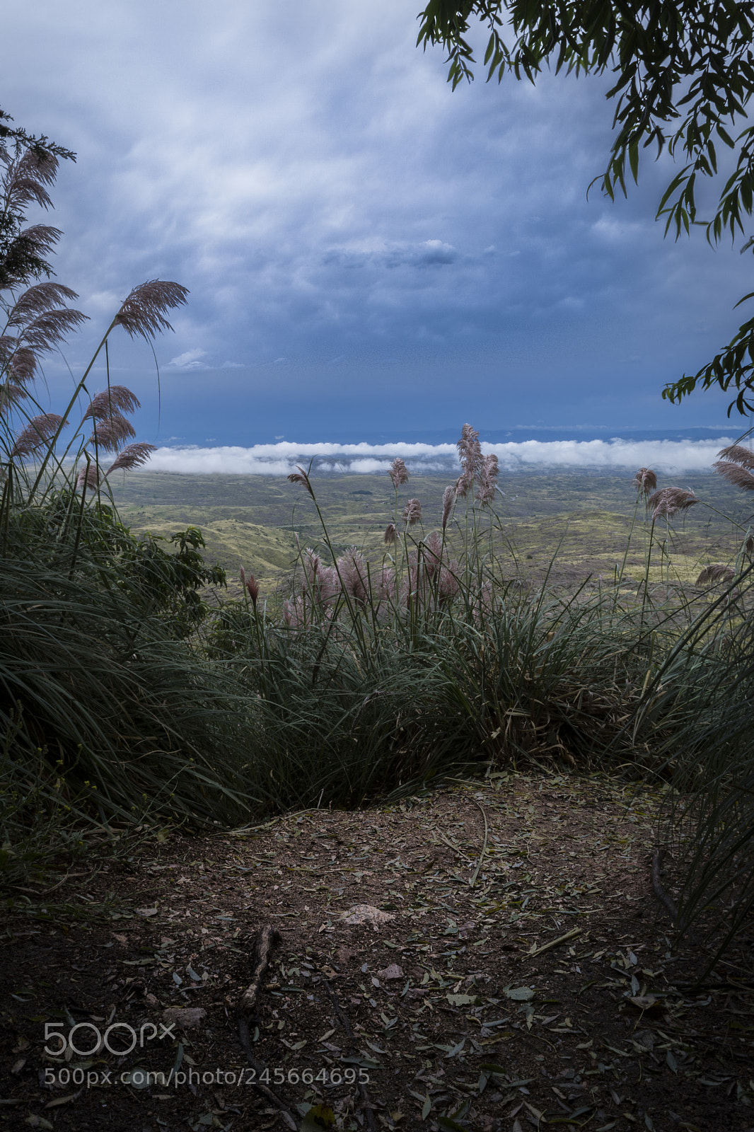 Nikon D5200 sample photo. Descubre photography