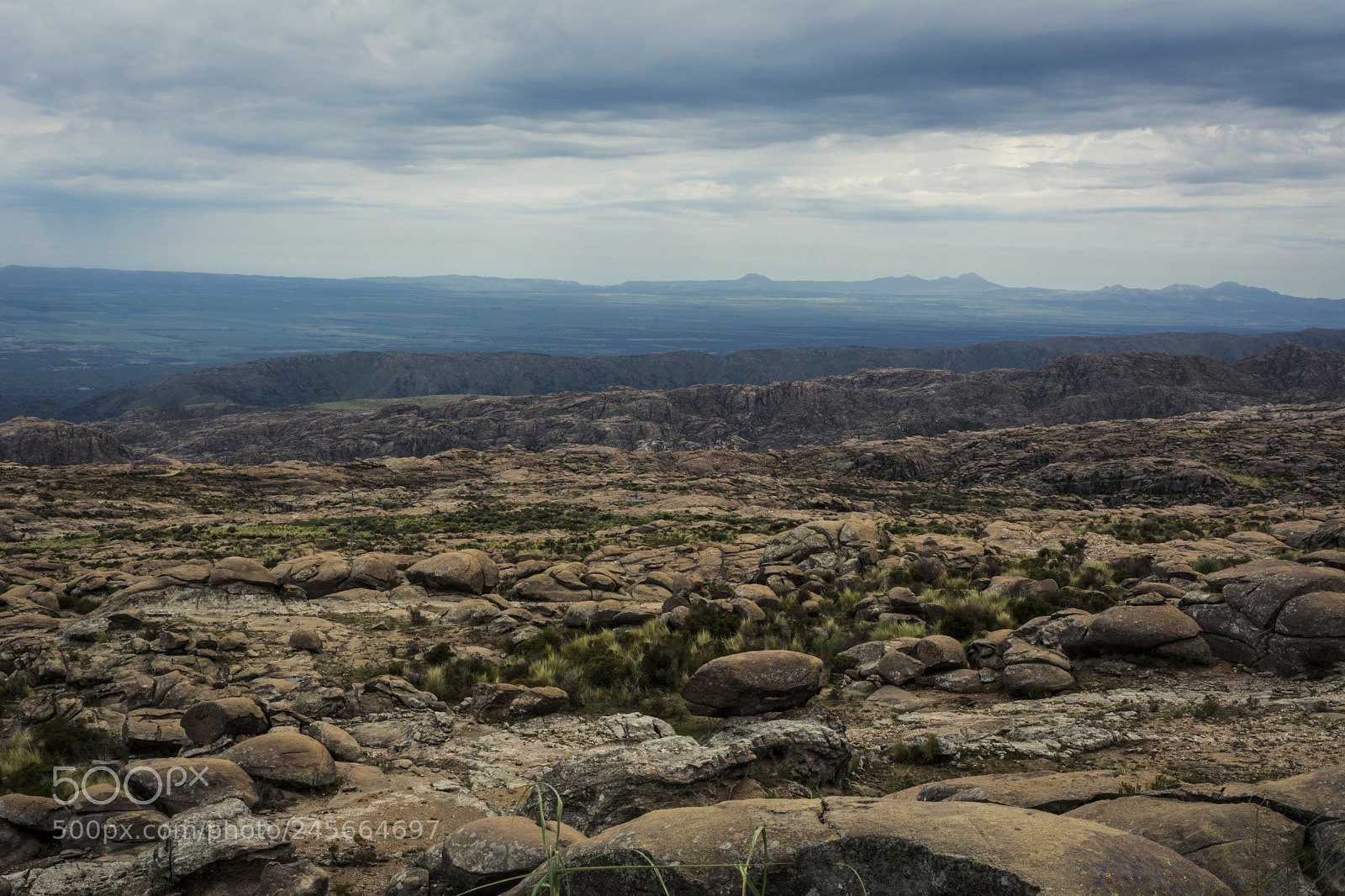 Nikon D5200 sample photo. Contempla photography