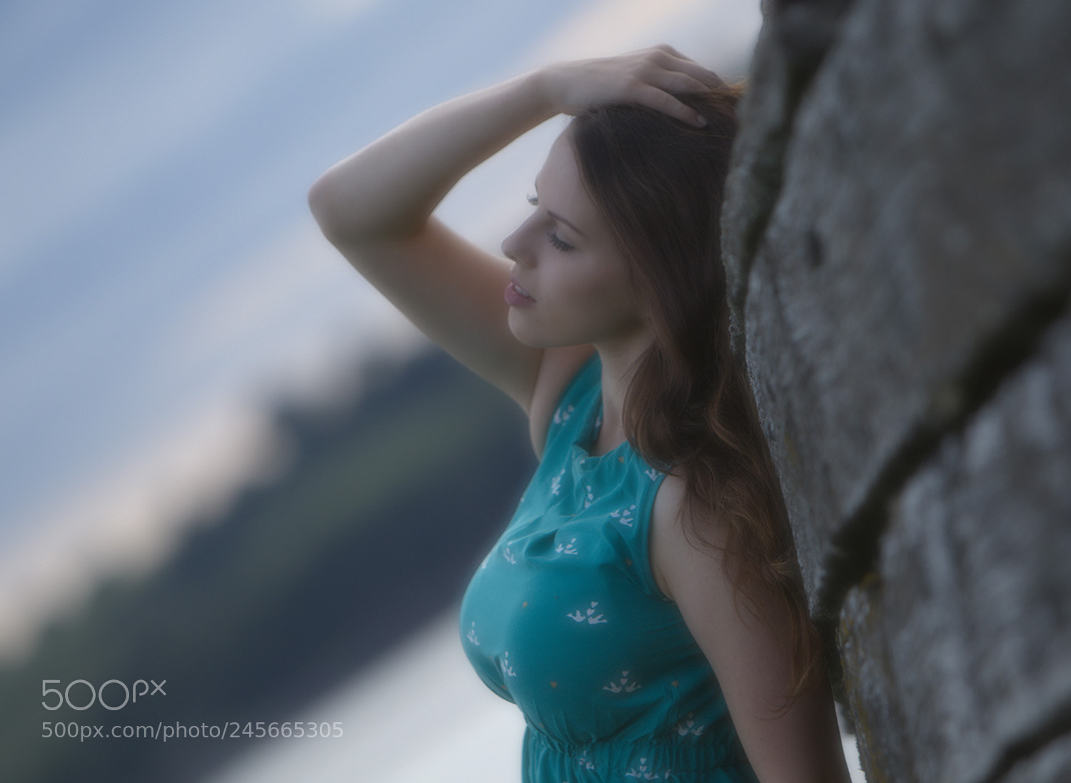Canon EOS-1D Mark IV sample photo. Hdr crop soft photography