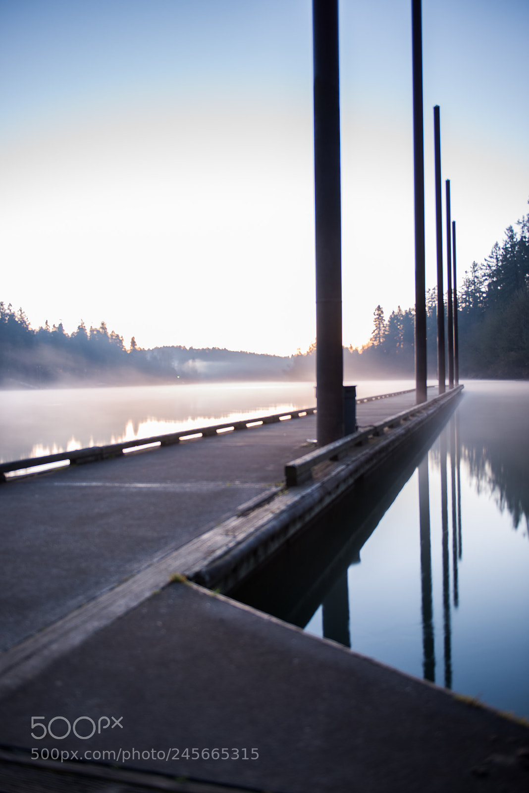 Nikon D600 sample photo. River fog in the photography