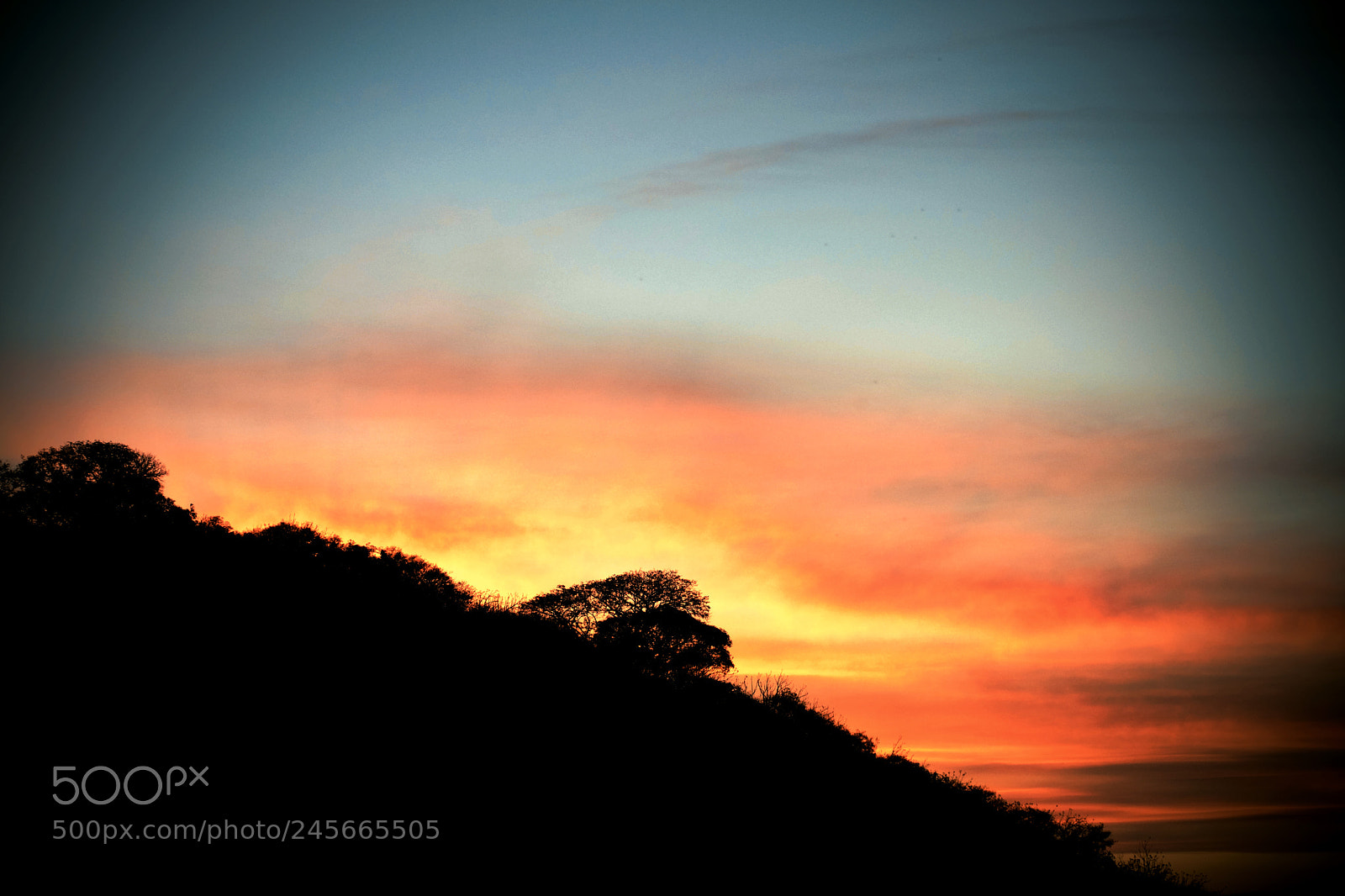Nikon D5600 sample photo. Chalapa dusk photography