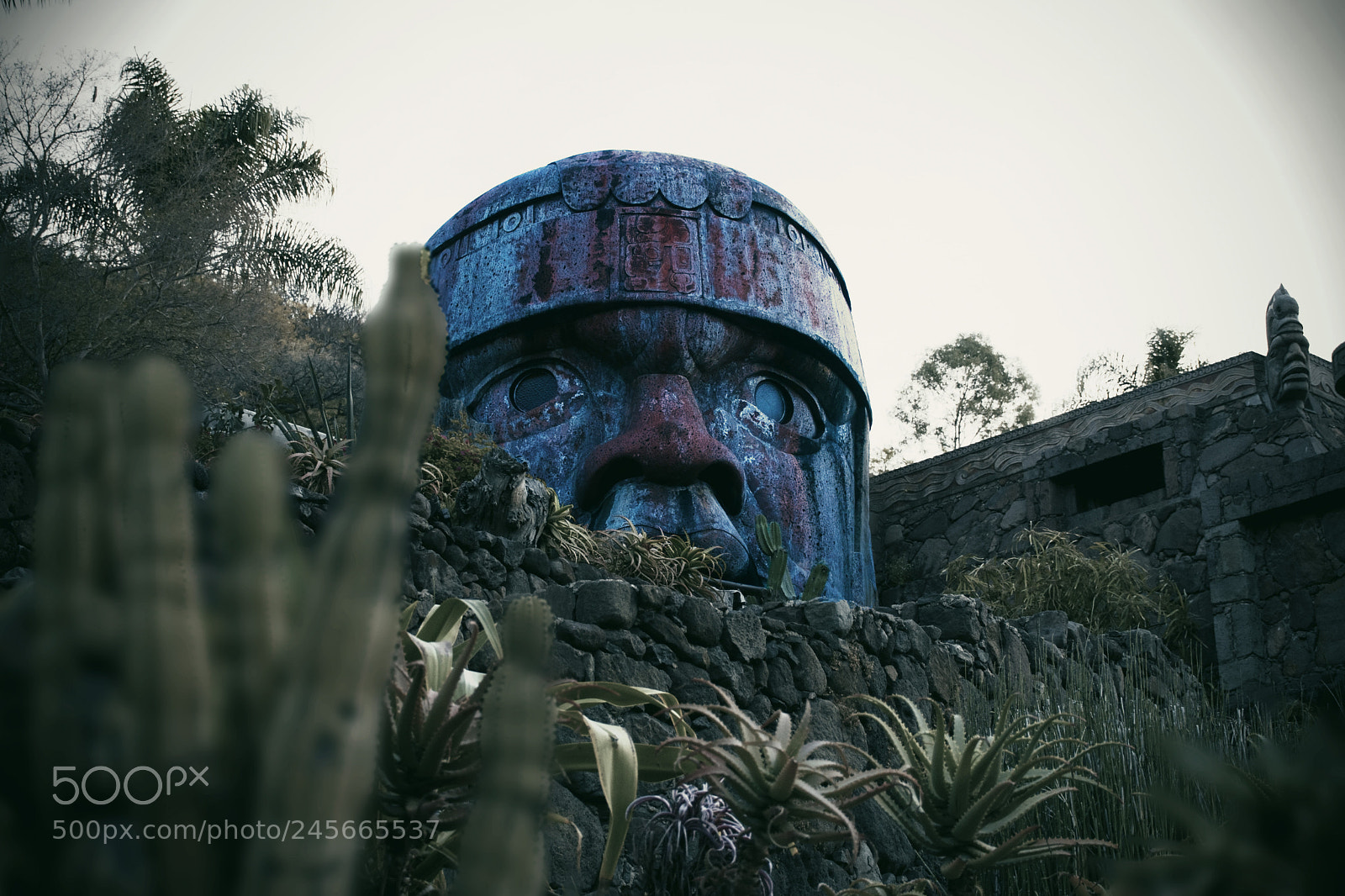 Nikon D5600 sample photo. Head on the hill photography