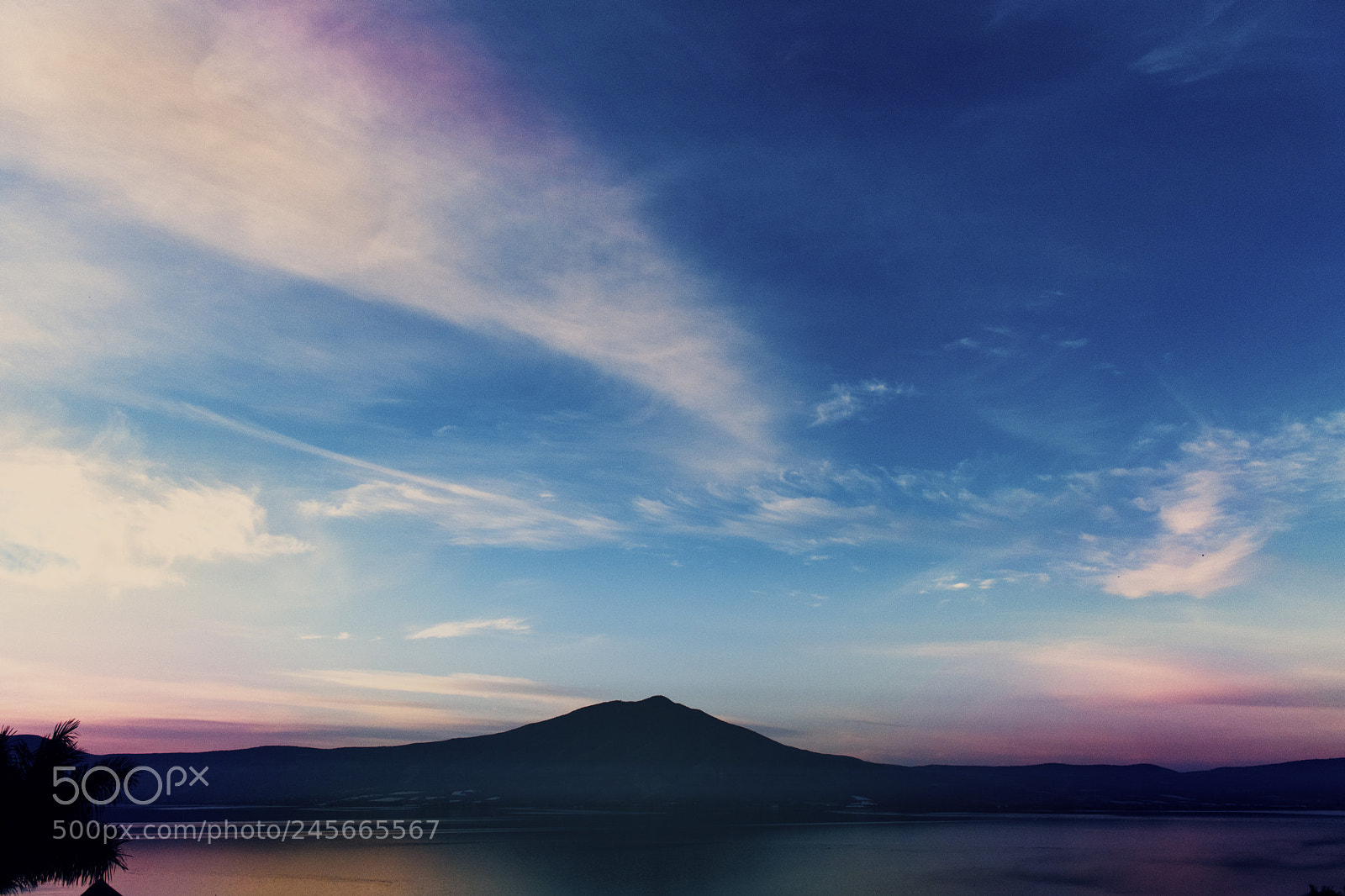 Nikon D5600 sample photo. Purple sunset on chapala photography