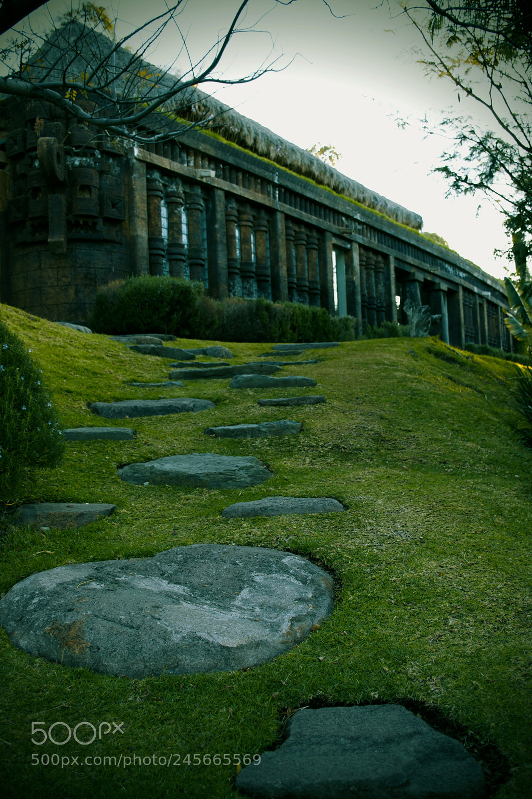 Nikon D5600 sample photo. The path and the photography