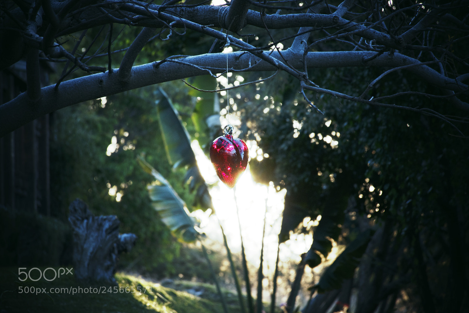 Nikon D5600 sample photo. Heart of glass photography