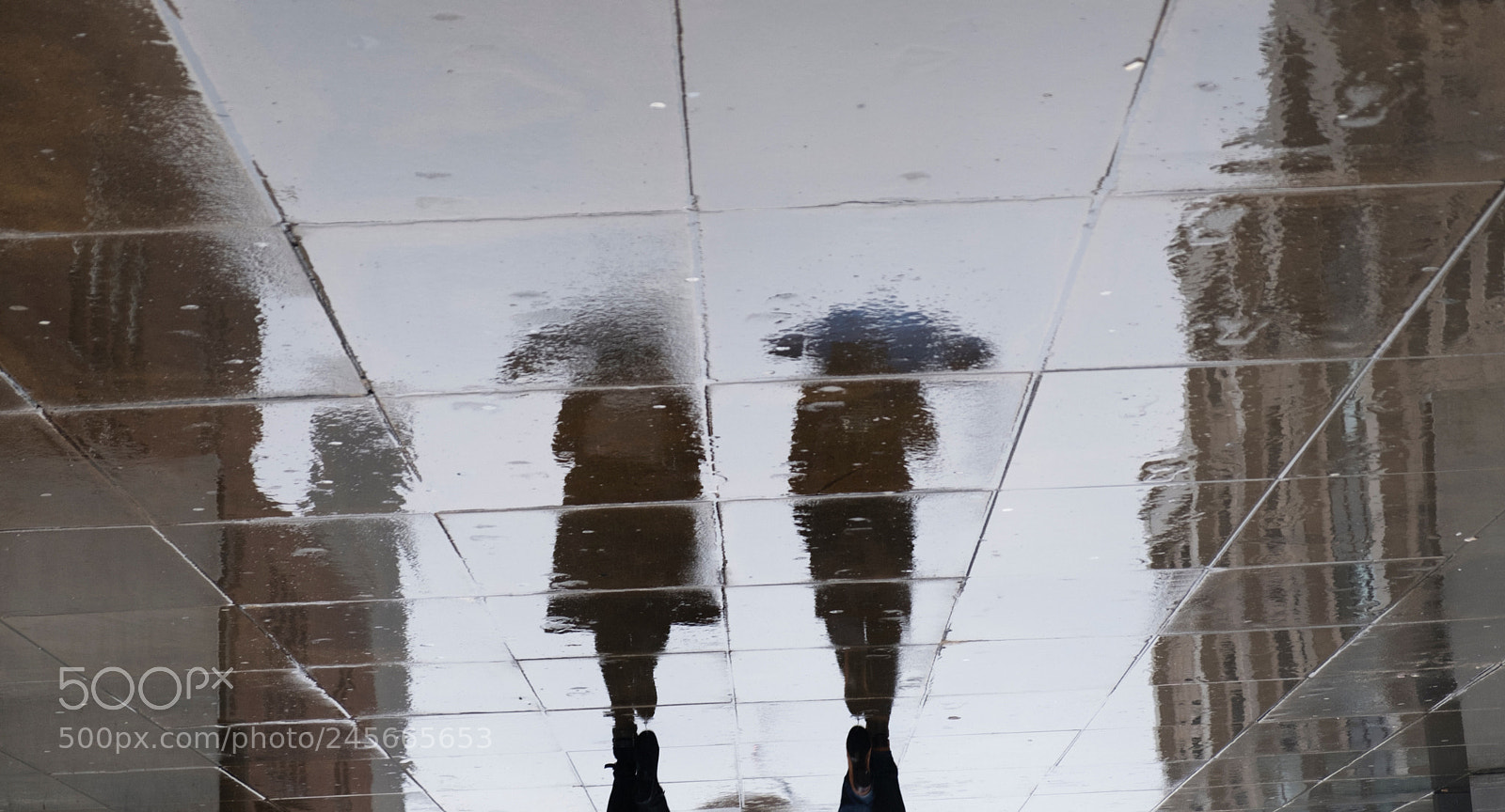 Fujifilm X-T2 sample photo. Reflection_upside down photography