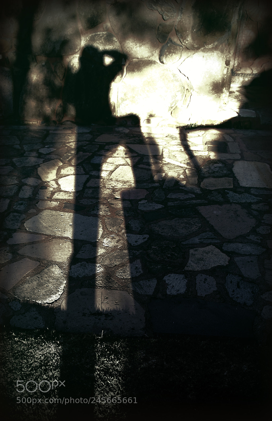 Nikon D5600 sample photo. Dusk shadow photography