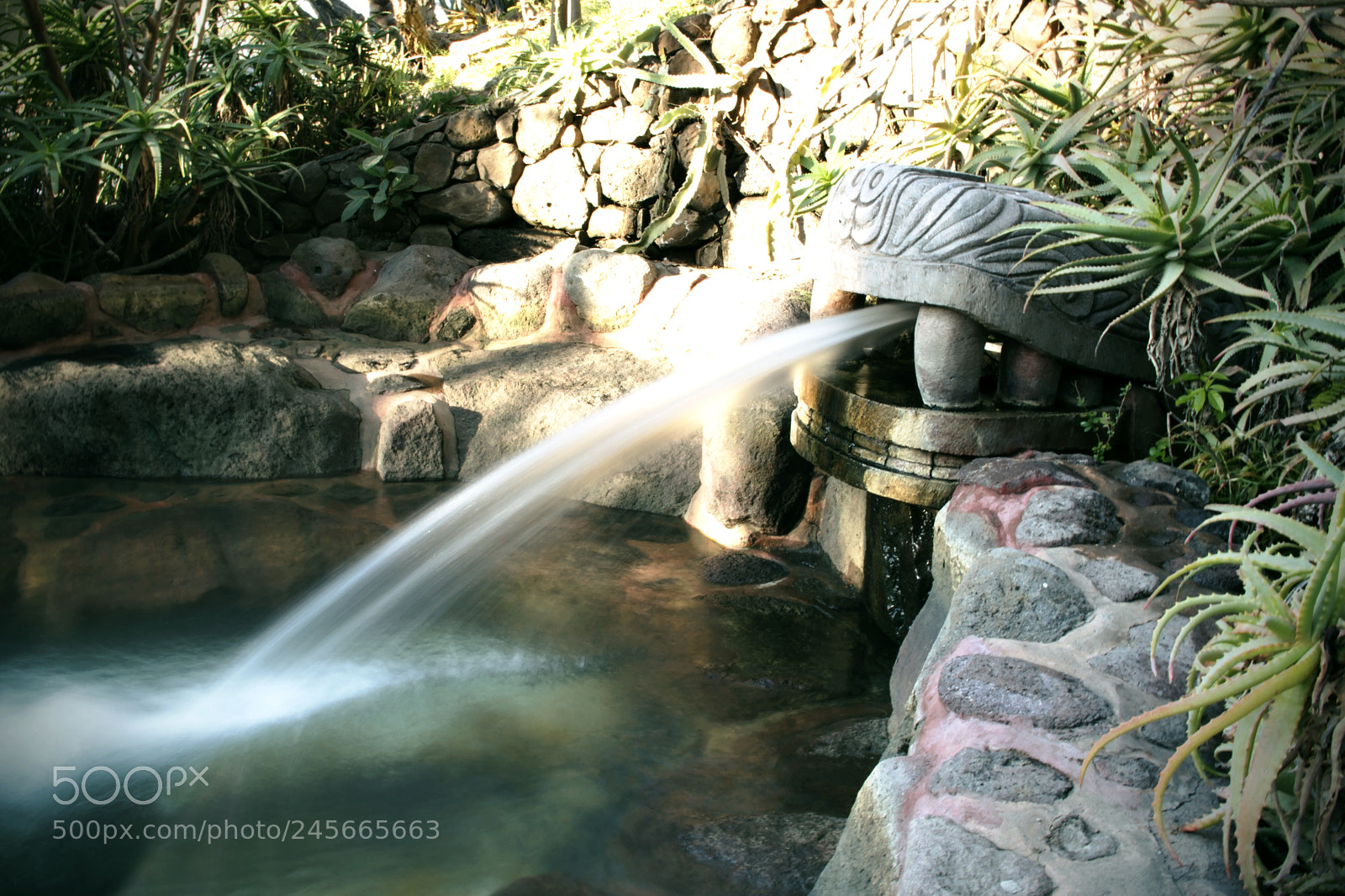 Nikon D5600 sample photo. Spitting serpent photography