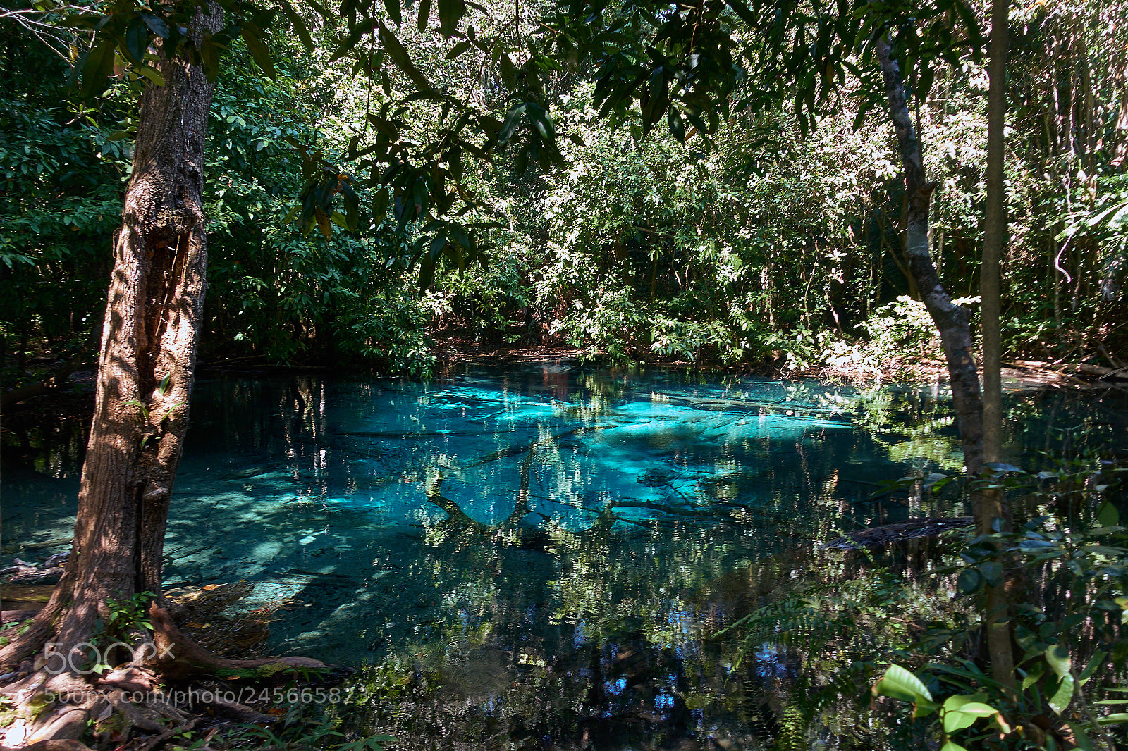 Sony Cyber-shot DSC-RX100 III sample photo. Crystal pool photography