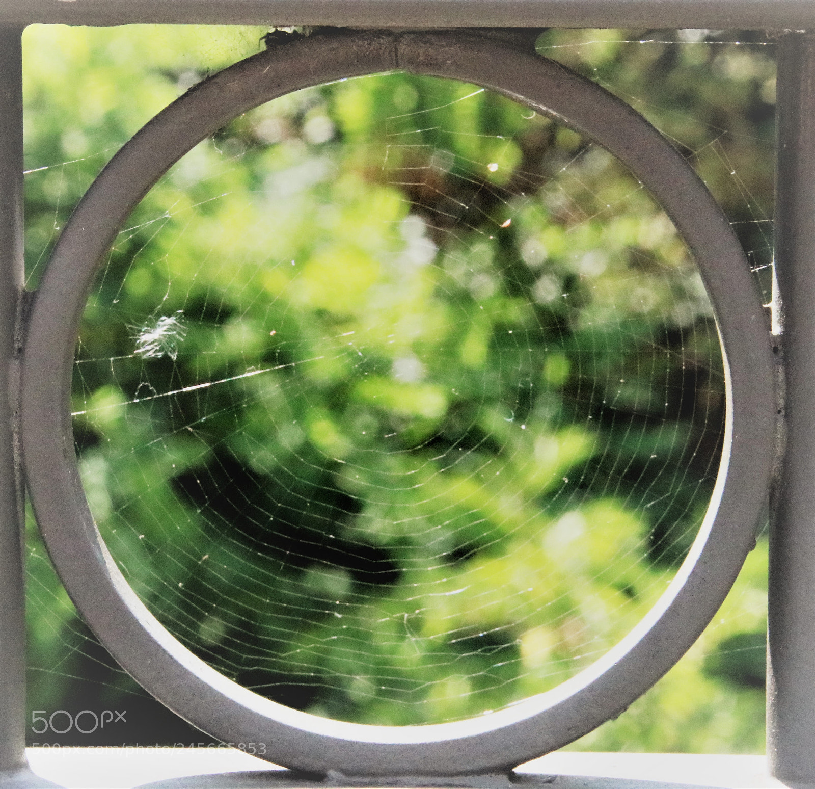 Canon EOS 760D (EOS Rebel T6s / EOS 8000D) sample photo. Make believe dreamcatcher photography