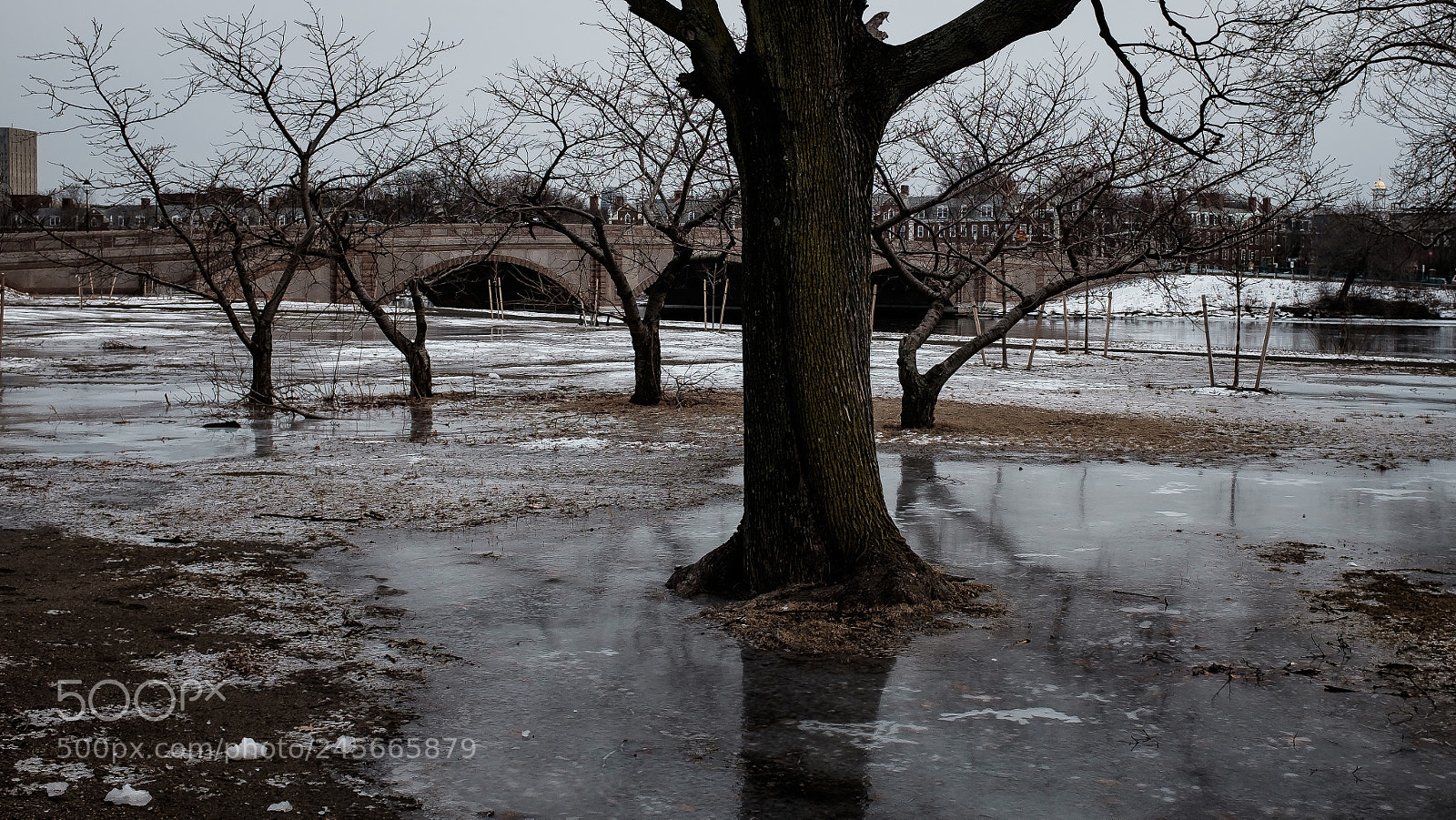 Fujifilm X100T sample photo. Cold & dark photography