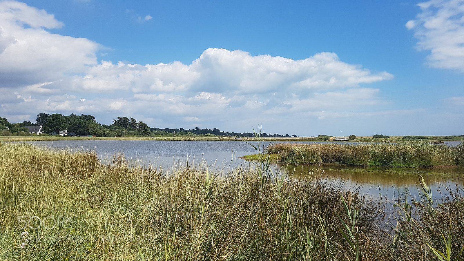 Samsung Galaxy S7 sample photo. Marshland photography