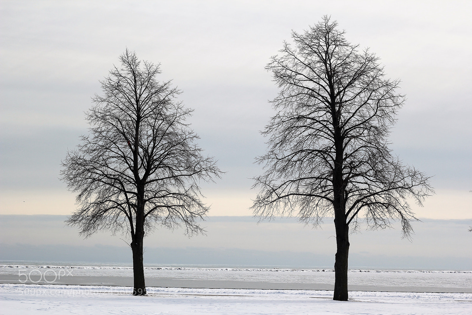 Canon EOS 60D sample photo. Perfect subjects photography