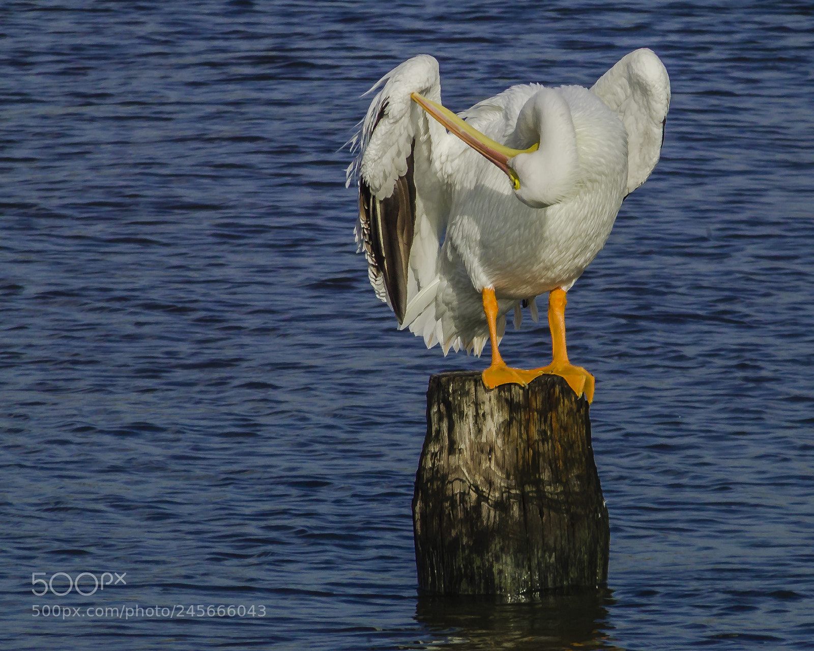 Nikon D100 sample photo. Now where did i photography