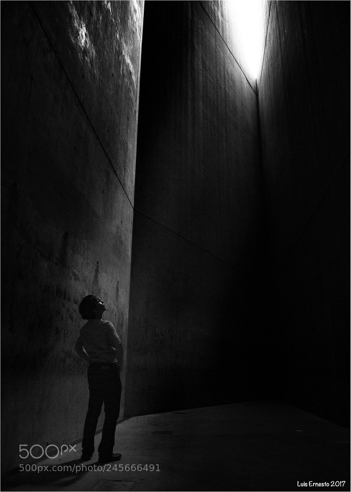 Nikon D800 sample photo. Holocaust-turm photography
