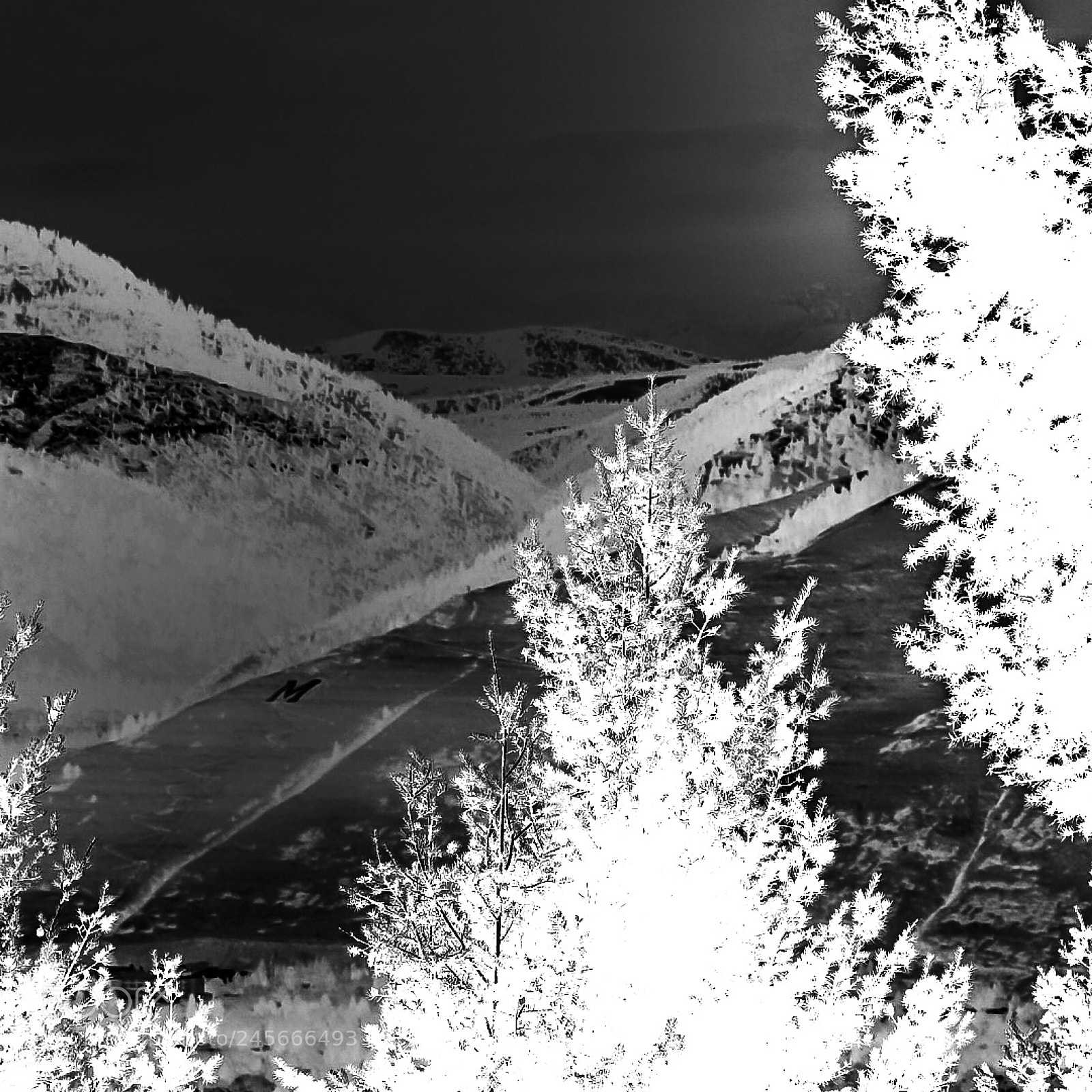 Nikon Coolpix P900 sample photo. Psychedelic encounters photography
